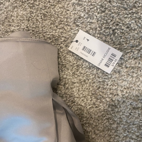 The Limited Silver/Pearl midi skirt, size 4, NWT - Picture 3 of 3